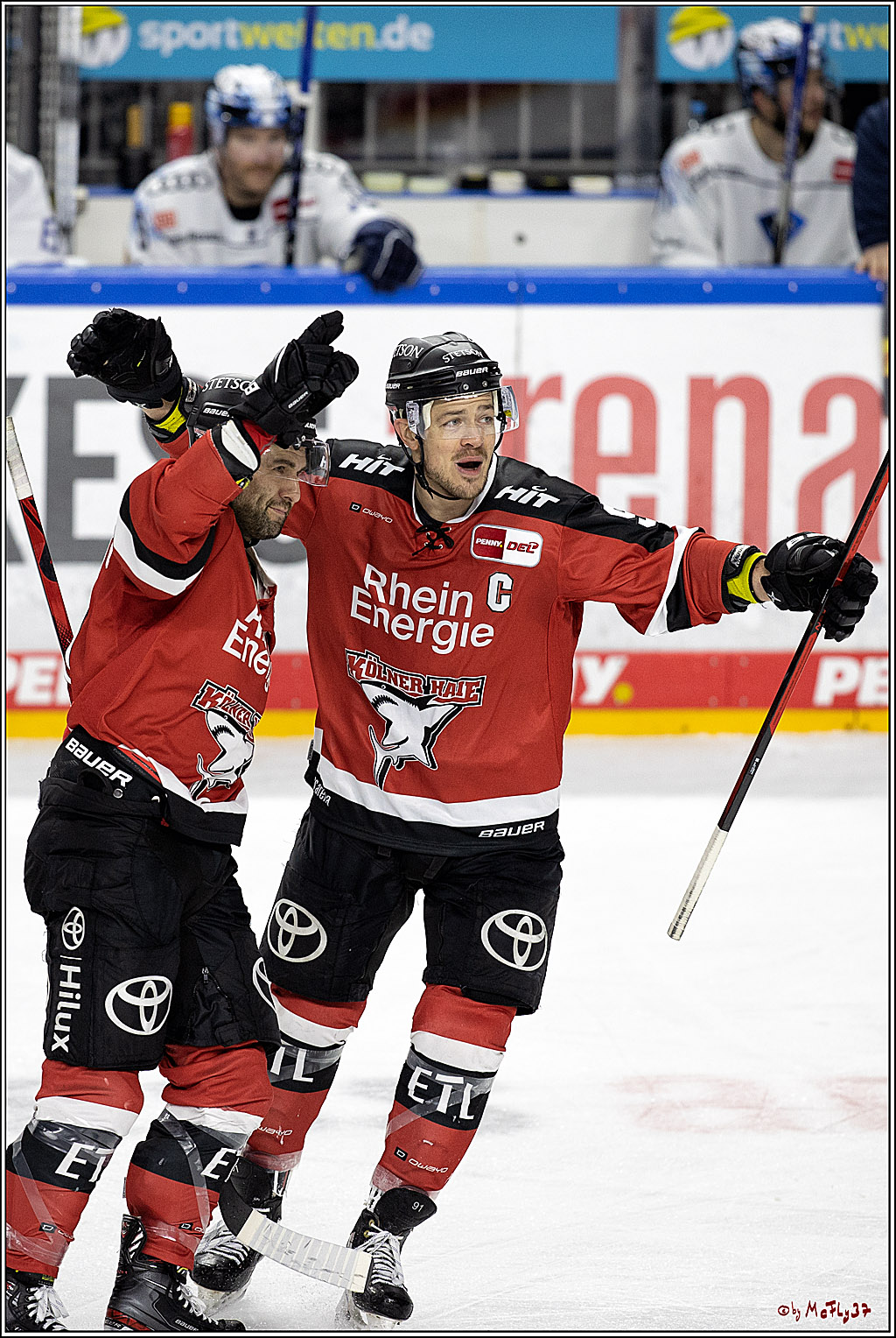 PENNY DEL;  Koelner Haie - ERC Ingolstadt; Koeln, 19.12.2021